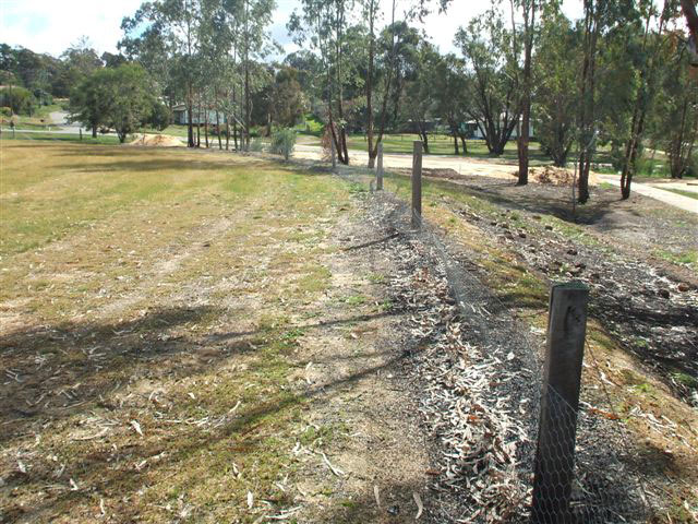 Wandering Cricket Oval